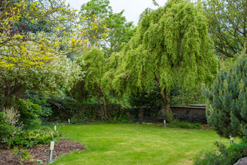 Serene garden with lush green trees and trimmed lawn