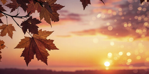 Autumn leaves silhouetted against warm sunset gradient sky