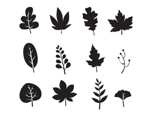 Set of tropical leaves silhouettes. Exotic jungle palm leaf silhouettes isolated on white background.