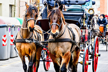 Horse parade at the Festival of the Three Sepulchres in Igualada, Barcelona, ​​feast of Saint...