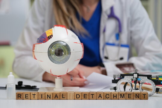 This is a detailed depiction of retinal detachment using an anatomical eye model and related materials