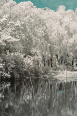A serene, infrared photograph depicts a tranquil body of water reflecting a snow-like forest of...