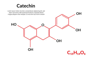 Catechin natural plant flavonol, molecular structure formula