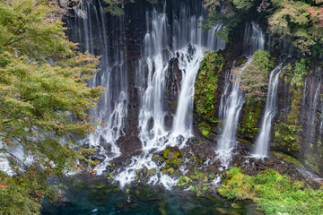 Fototapeta premium Shiraito Falls, Fujinomiya, Shizuoka Prefecture, Japan