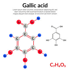 Gallic acid (trihydroxybenzoic acid) molecular structure formula, ball-and-stick model