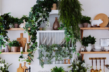 Explore a vibrant kitchen shelf adorned with plants and rustic decor