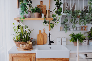 Kitchen with greenery and wooden accents in a cozy home