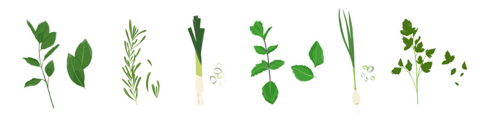 Set of fresh herbs and spice. Onion, parsley, rosemary and more. Bits of herbs. Vector. Flat cartoon style. 
