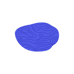 rice coral for aquarium decoration