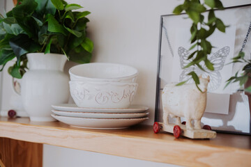 Elegant shelf display featuring decorative dishes and plants in a cozy setting