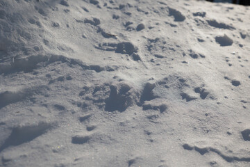 dettagli della superficie di un terreno naturale coperto dalla neve con forme variabili disegnate dal vento ed illuminate dal sole, di giorno, in inverno