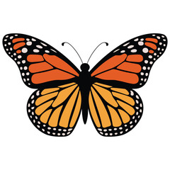 Fototapeta premium Crisp and Clean Butterfly Design.