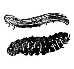 Bright Caterpillars as Larval Stage of Insect Crawling and Creeping Vector Set, Worm larva insects butterfly cute caterpillar, swallowtail caterpillar textured on white background.