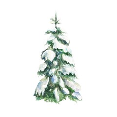 Fototapeta premium Christmas tree covered with snow. Hand drawn watercolor illustration isolated on white. For cards, invitations, New Year and Christmas banners, posters.