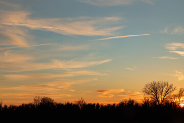 dettaglio del cielo azzurro e sereno, velato da alcune nuvole molto leggere e chiare, colorato di arancione dalla luce del sole al tramonto. sagome nere di alberi spogli, in inverno, in basso