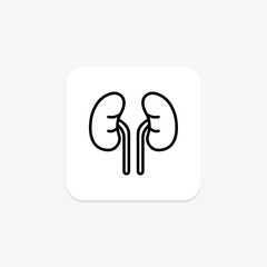 Human Kidneys line icon, vector, pixel perfect, illustrator file