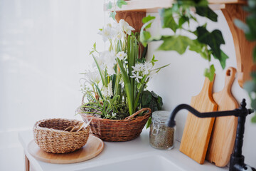 Green plants and decorative items in a bright kitchen setting