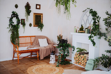 Beautiful indoor space with plants and rustic decor in natural lighting