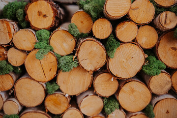 Fototapeta premium Logs stacked neatly with green moss accents in a natural setting