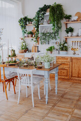 Charming kitchen filled with plants and rustic décor during daytime