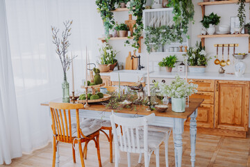 Cozy kitchen setting with natural decor and lush greenery in sunlight