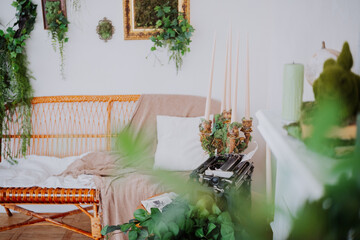 Cozy living room with greenery and vintage decor creating a relaxing atmosphere