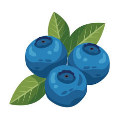 Blueberries with green leaves. Vector cartoon illustration