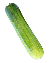 Top view of single long green cucumber isolated with clipping path in png file format