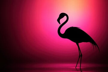 Silhouette of a flamingo standing in pink and black lighting