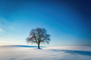 Minimalist winter photography: snowy scene in cold, serene nature, muted tones.