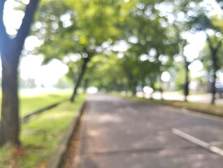 Blurred or defocused background of a cool green tree lined road