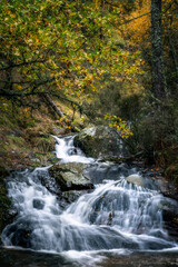 Aroyo del Sestil de Maillo