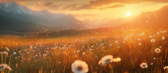 Serene meadow at dawn with warm hues of orange and gold from the rising sun, lush green grass and white flowers in the foreground, mountains in background.