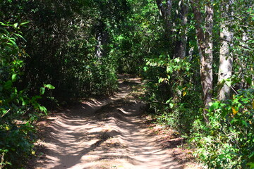 Amazing Wild Life of Sri Lanka