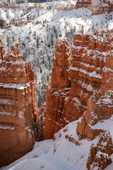 bryce national park