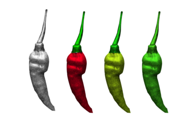 A high-contrast halftone style PNG illustration featuring a Chilli with a transparent background. The design uses bold color and a retro, graphic print aesthetic. Ideal for poster and design project.