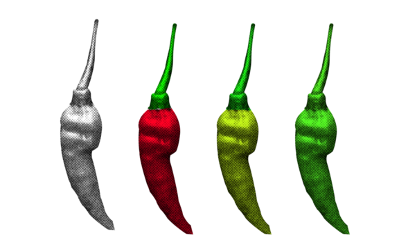 A high-contrast halftone style PNG illustration featuring a Chilli with a transparent background. The design uses bold color and a retro, graphic print aesthetic. Ideal for poster and design project.