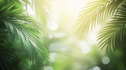 Obraz premium Lush green palm leaves backlit by sunlight, creating a vibrant tropical scene.