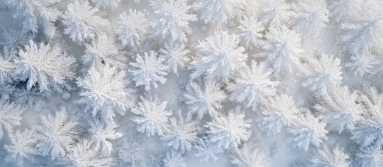 Frosty white snowflakes blanket a surface, creating intricate patterns, with a cool blue backdrop highlighting the delicate nature of winter.