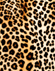 leopard, bright animal print, jaguar spots, leather texture, fashion design for fabric