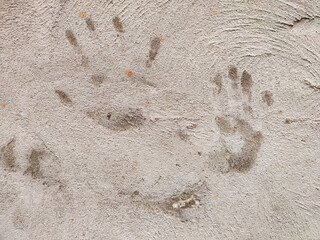 Handprints on textured surface create a unique and artistic impression in a natural setting