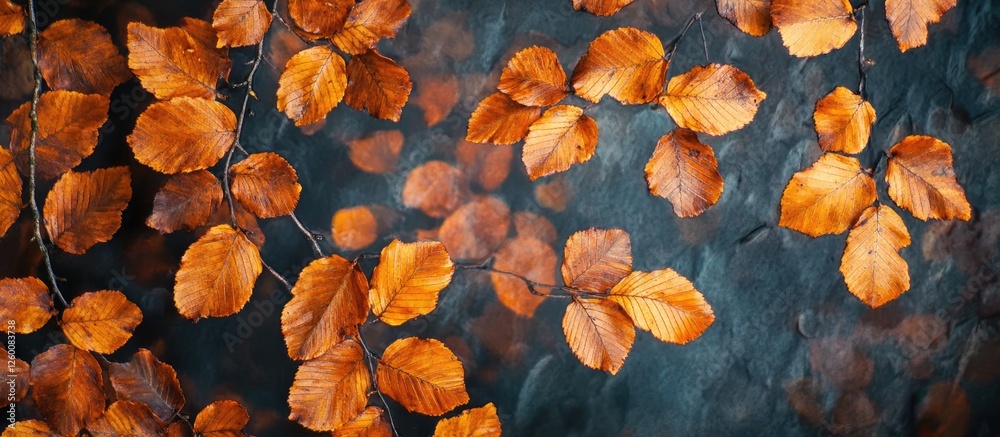 Poster autumn beech leaves in vibrant orange hues against a soft blue-green bokeh background with forest gr