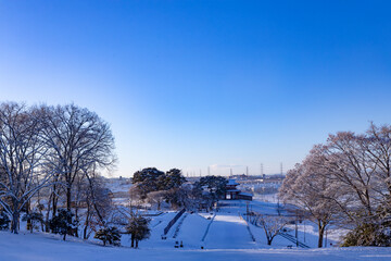 雪の降った翌日の多賀城市