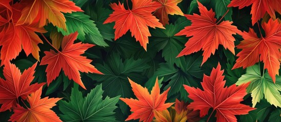 Colorful maple leaves in vibrant shades of red and green scattered against a dark green background creating a rich autumnal texture.