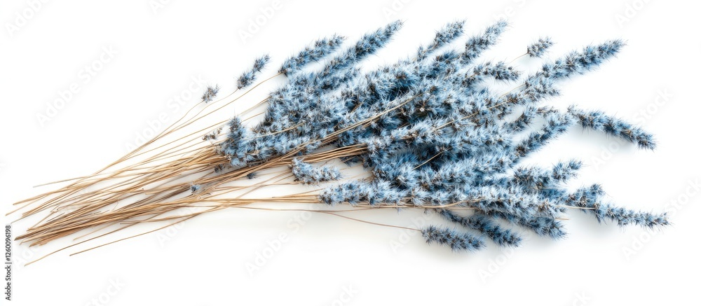 Aufkleber blue dried lagurus grass arranged on a white background in a flat lay style showcasing its fluffy te