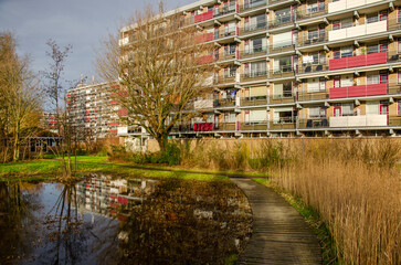 Gouda, The Netherlands, January 6, 2023: wooden boardwalk through a pond in a landscape park in a modern neighbourhood from the 1960s