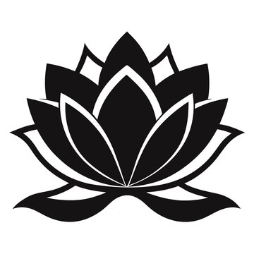 lotus-flower silhouette   vector