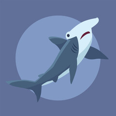 Flat Vector Sea Animal Illustration