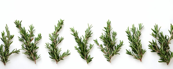 Rosemary sprigs, white backdrop, food blog