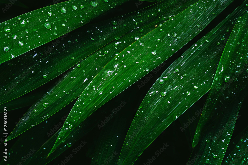 Poster bright green grass texture with moisture overlay on a dark background